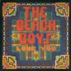 The Beach Boys Love You