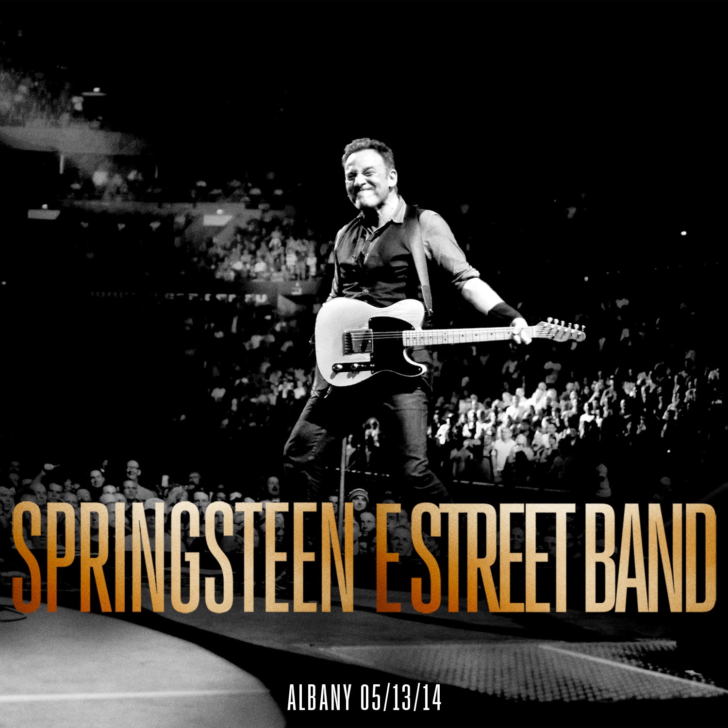 2014 Albany Bruce Springsteen