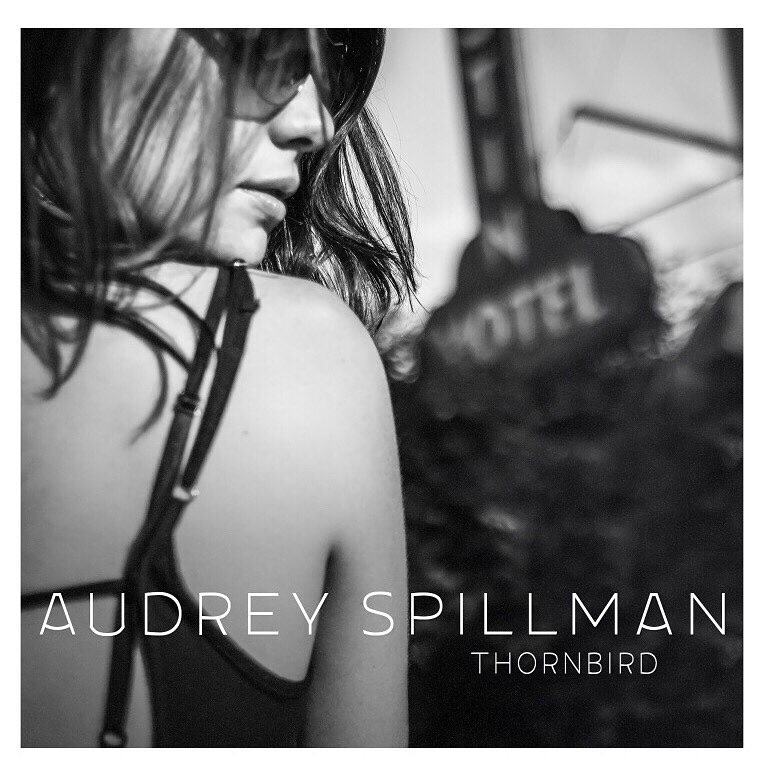 thornbird by Audrey Spillman