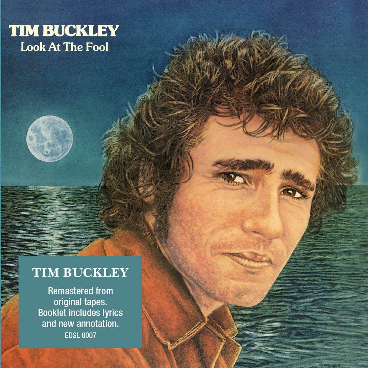 Look at the Fool by Tim Buckley