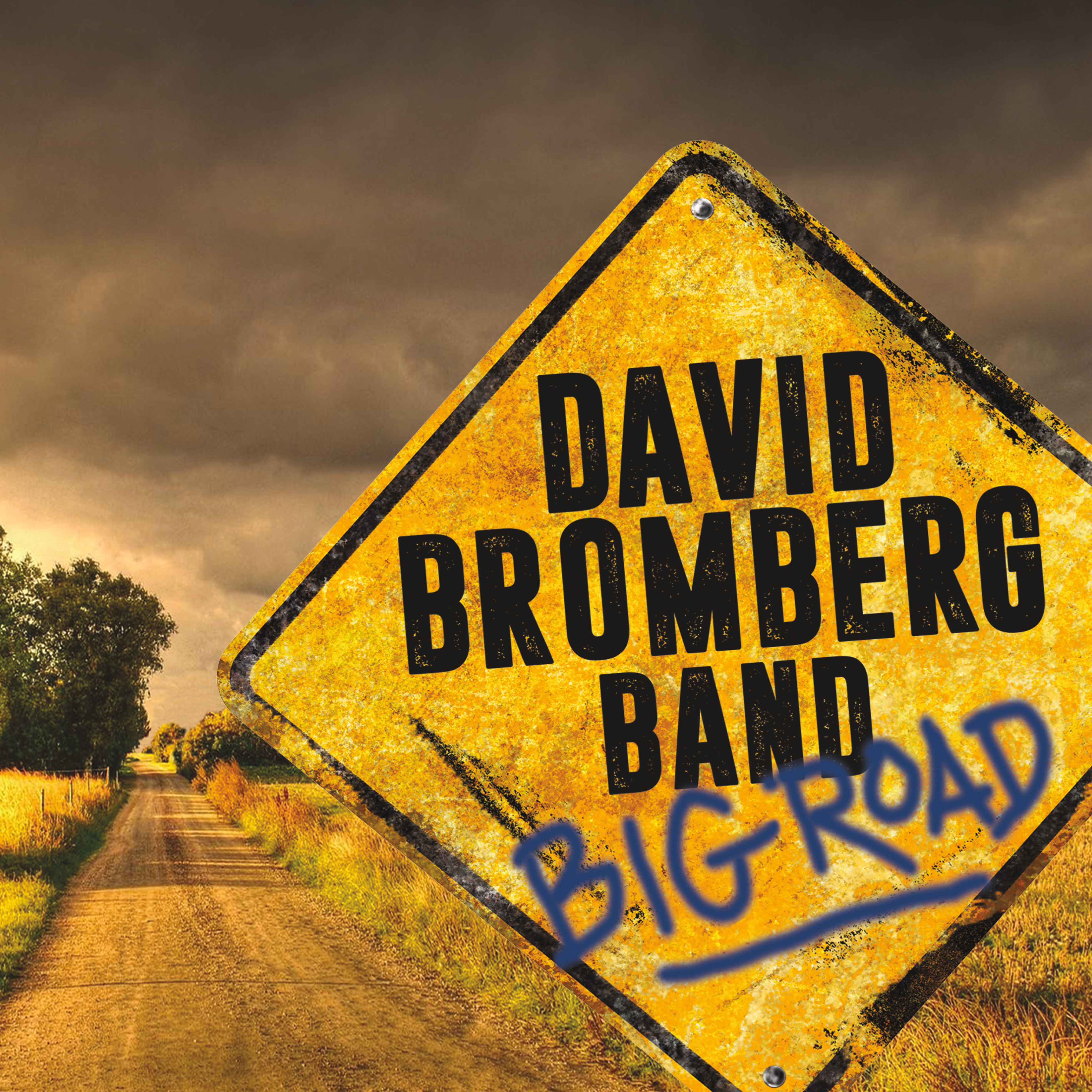 David Bromberg Band--Big Road