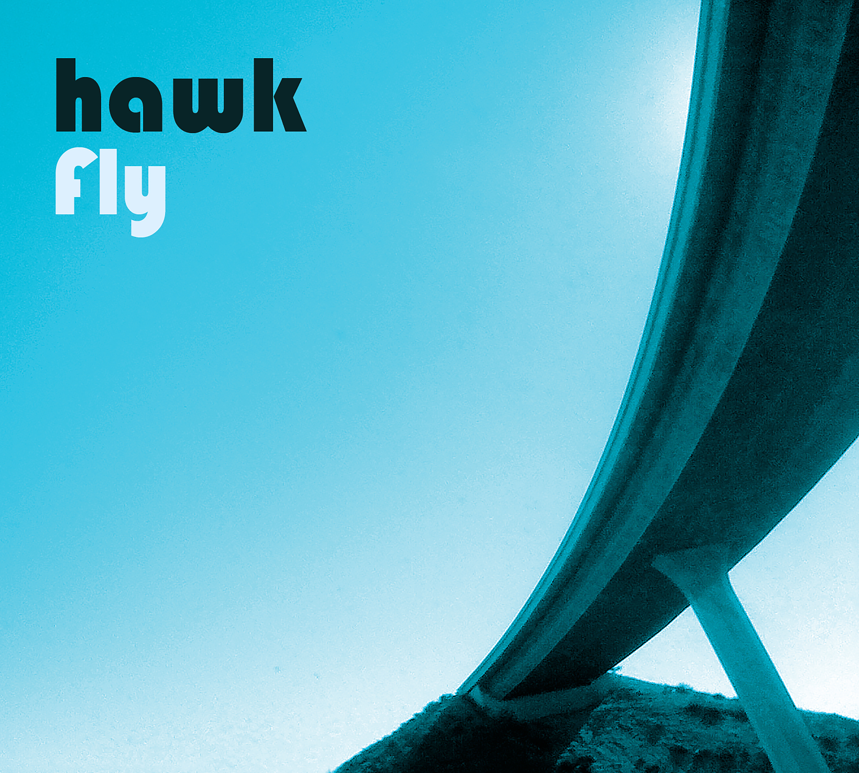 Hawk--Fly