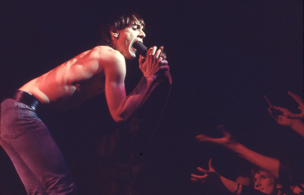 Iggy Pop in performance