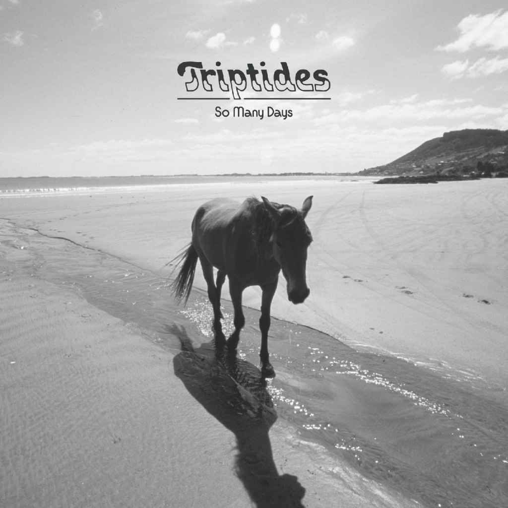 Riptides So Many Days CD