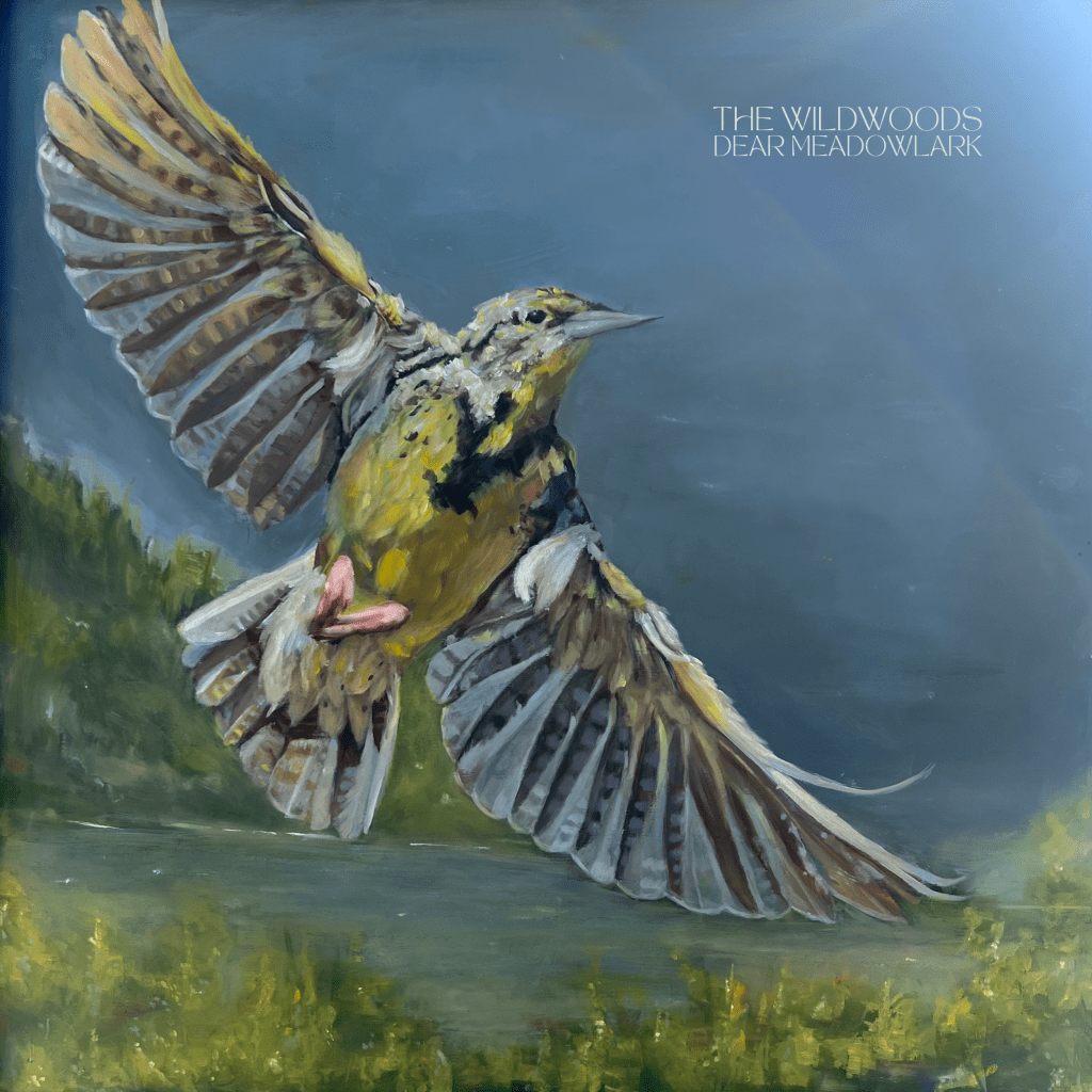 Wildwoods--Dear Meadowlark